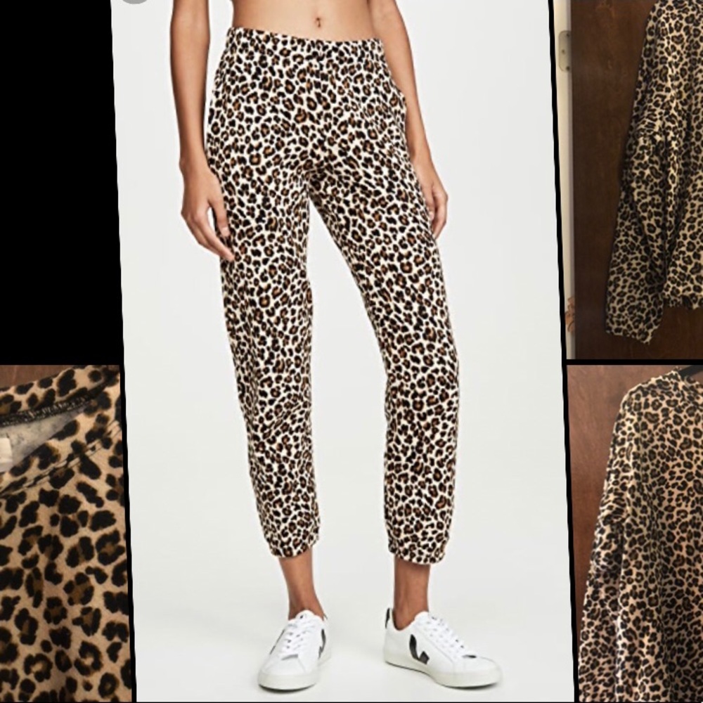 NWTS Velvet By Graham And Spencer Stretch Pants L!